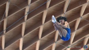 aere trampoline cup tra tum dmt ph by tomasi simone ferraro   fgi 